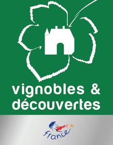 Logotipo de viñedos y descubrimientos