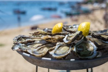 The 10 questions you ask yourself about the oyster