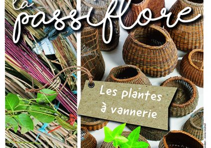 Foire aux plantes « La Passiflore » : Les plantes à vannerie
