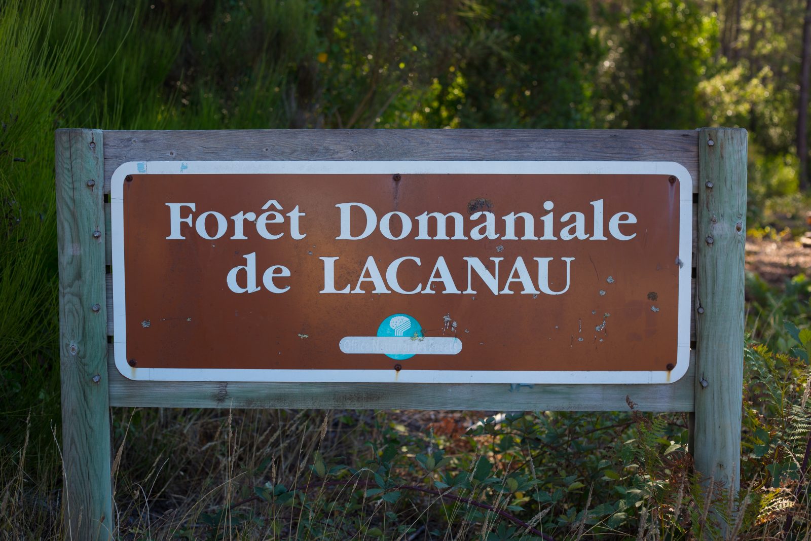 De Bordeaux à Lacanau à vélo – De la ville à la plage