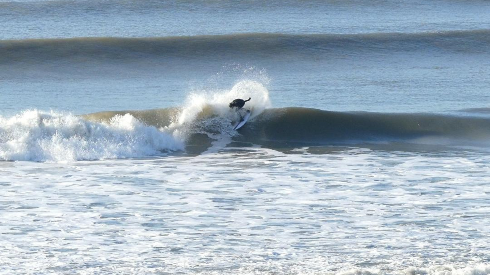 Next Wave-Surfen