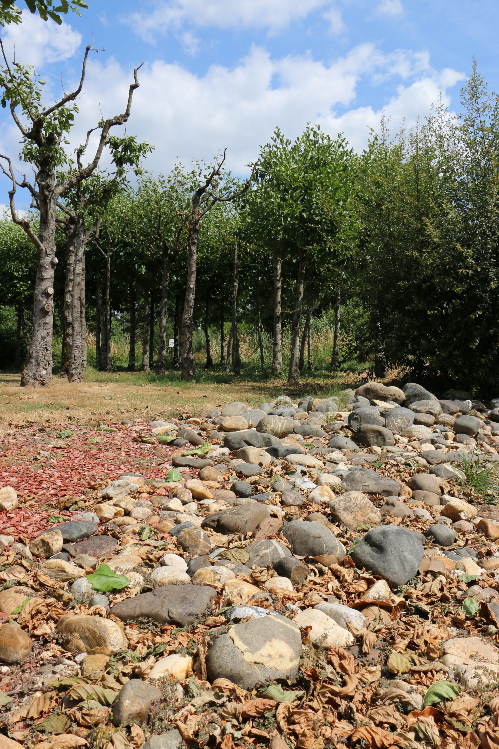 Piste de Robin: Een wandeling langs de Dordogne – 5 tot 8 jaar