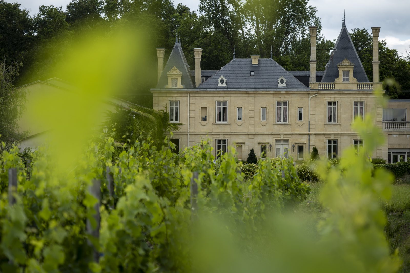 Chateau Meyre-Empfang