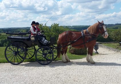 Rit met paard en wagen op Château Picon