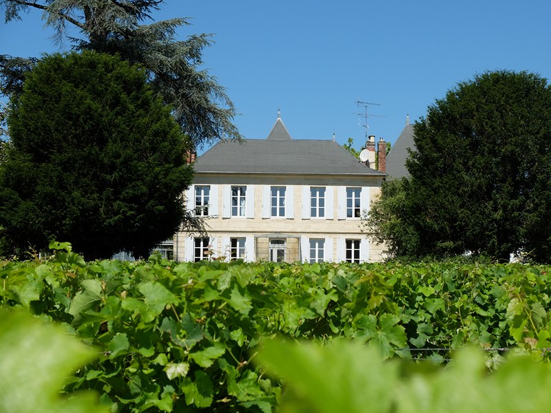 Bestemming Garonne, Château Jouvente, Illats