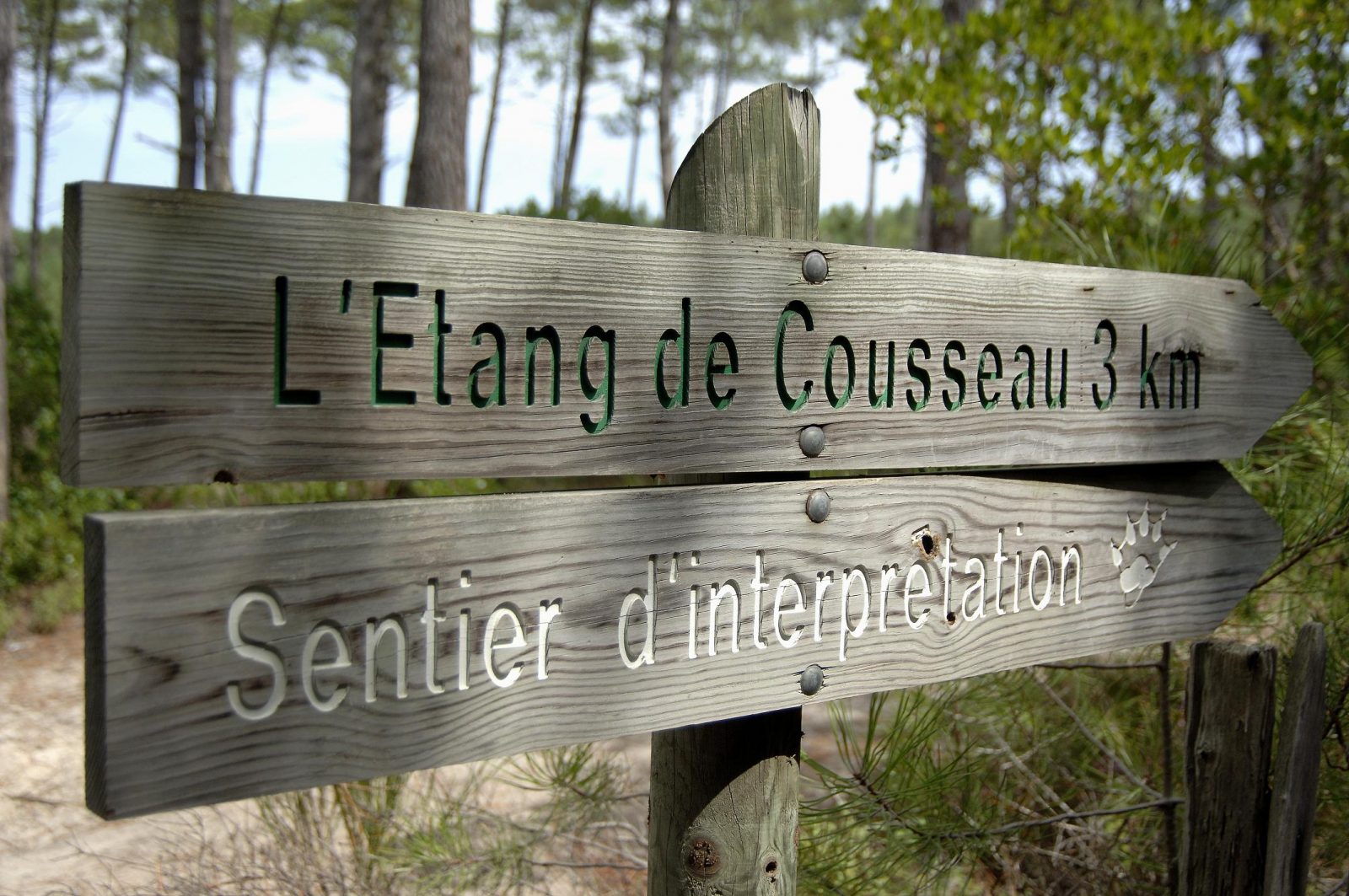 Dirección estanque Cousseau
