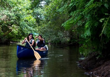 Paseo tradicional en canoa: escapada europea para tortugas acuáticas