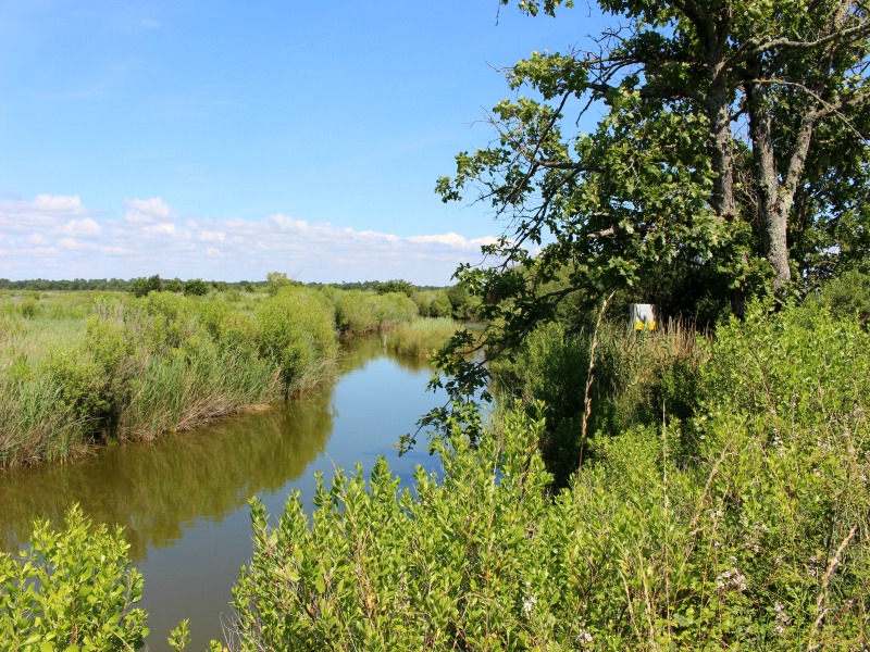 Au Teich, du Domaine de Fleury au Domaine des 4 paysans