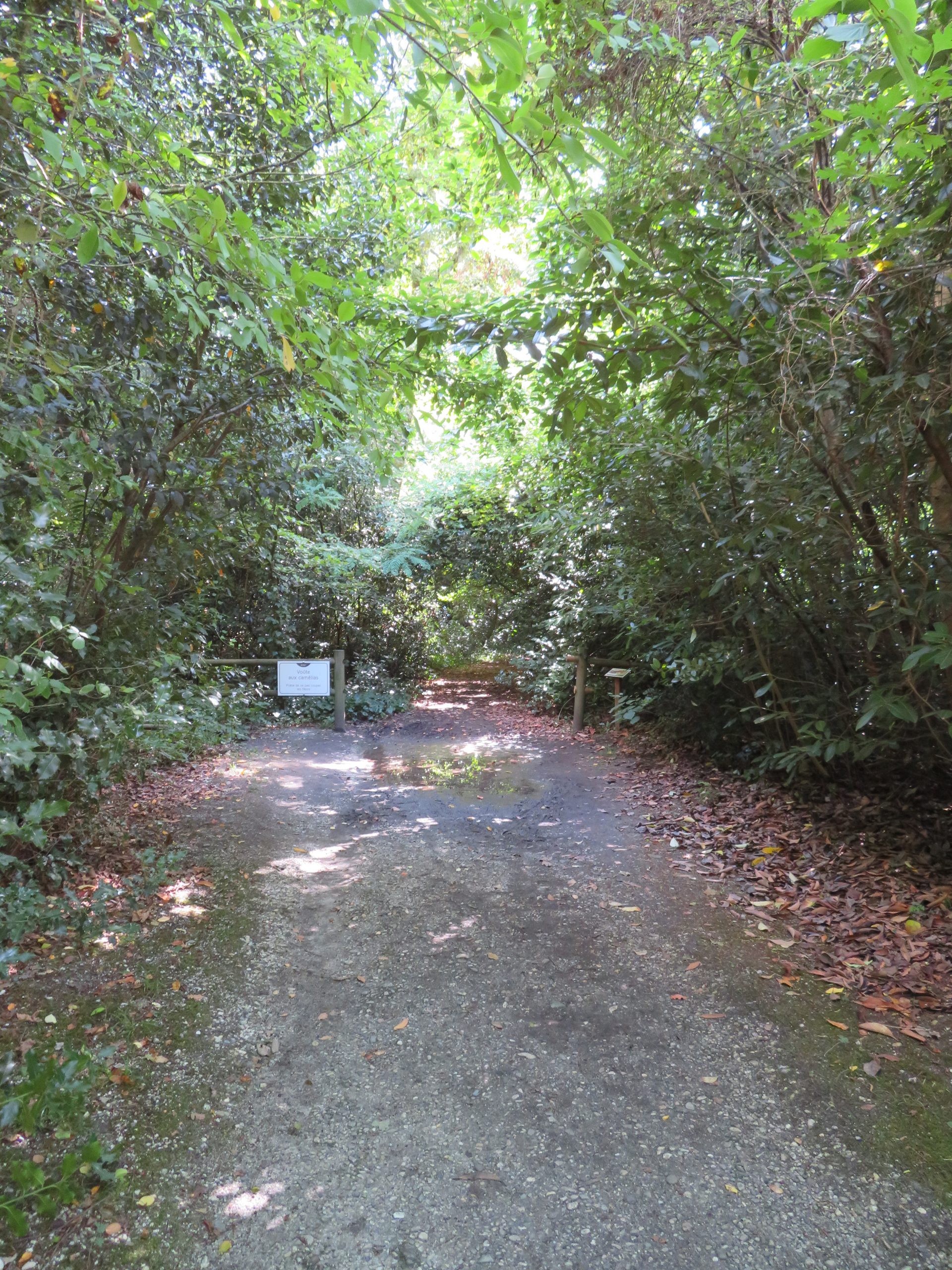 Paseo en rodillo: Parc Sourreil en Villenave d'Ornon