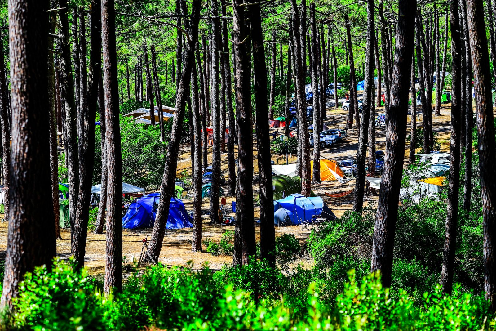 Campingplatz La Grigne