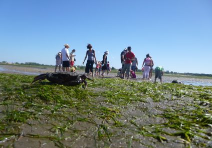 Introduction to shore fishing and discovery of the foreshore