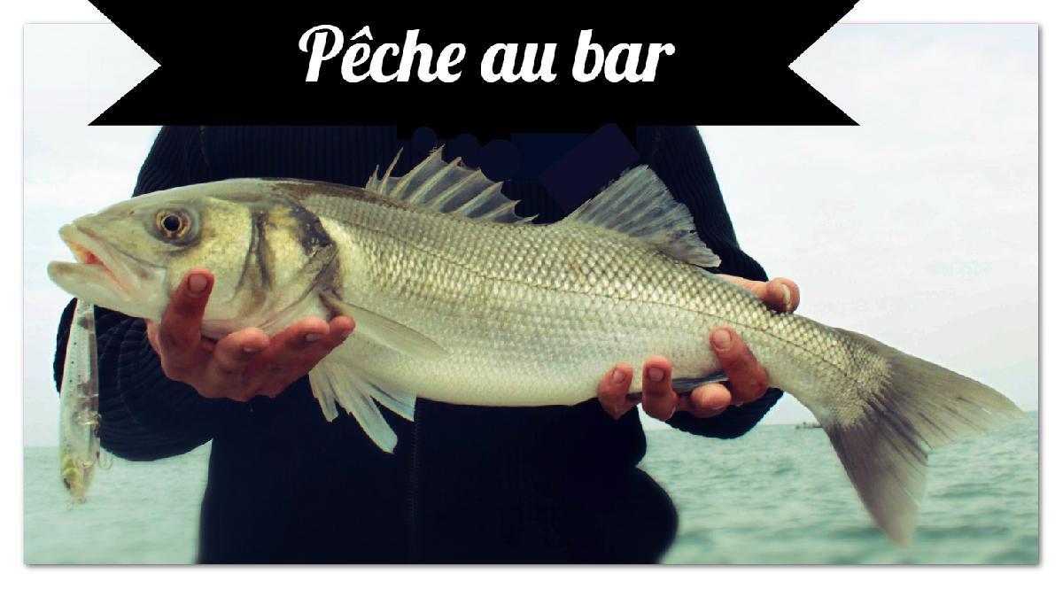 Pesca Arcachón1