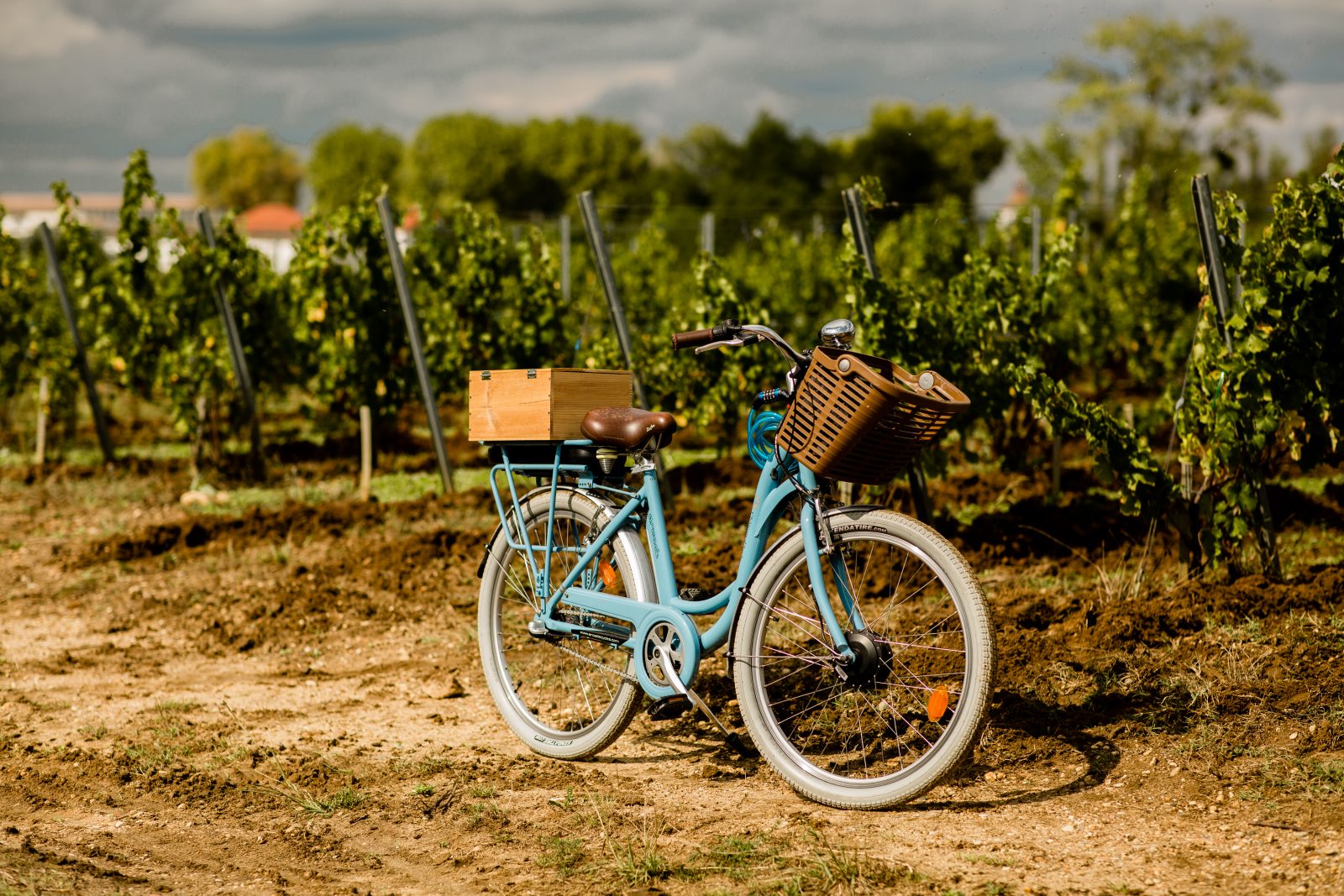 Boucle vélo – Sauternes 1855