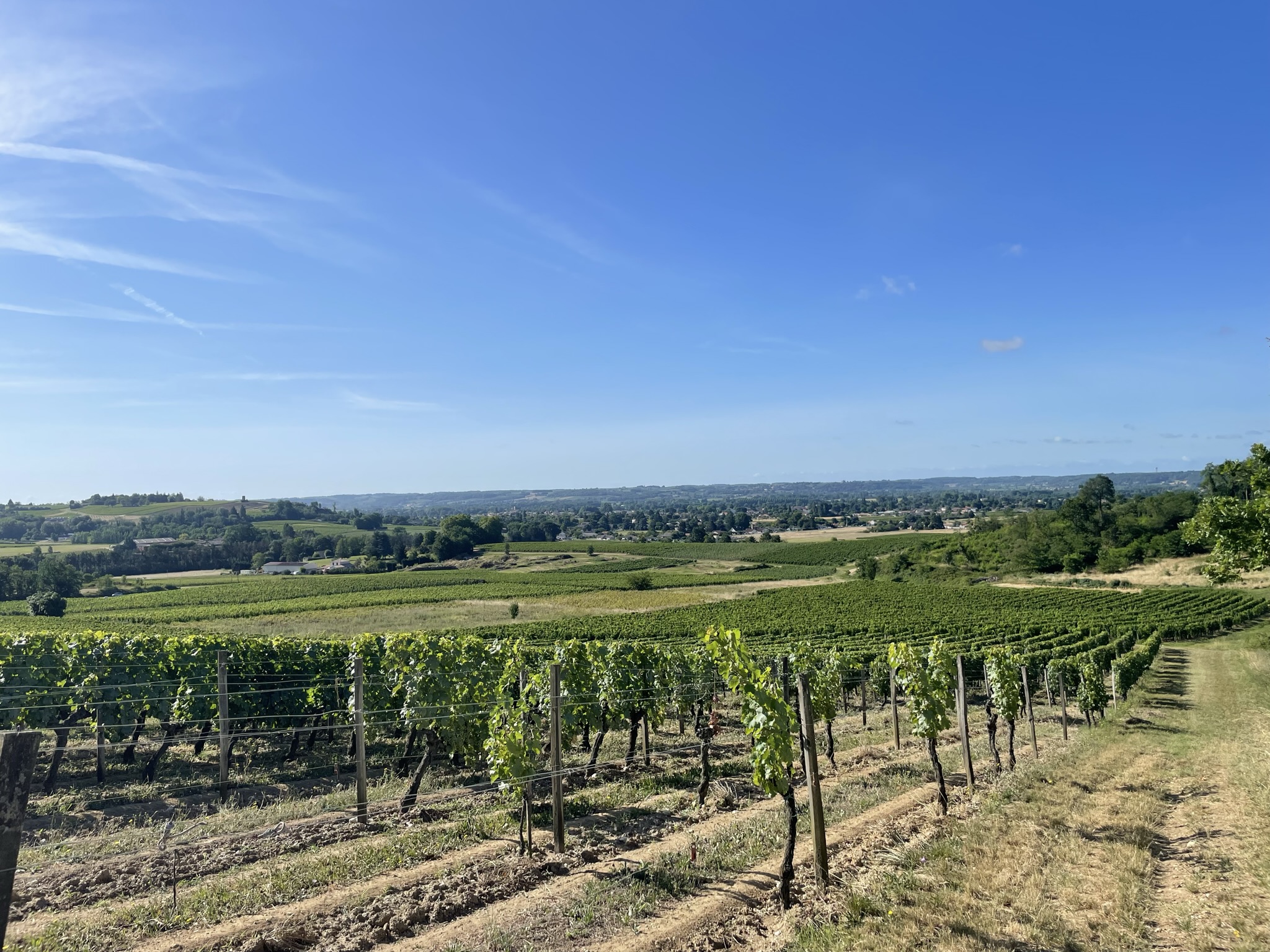 Loop of the slopes of the Castillonnais vineyard