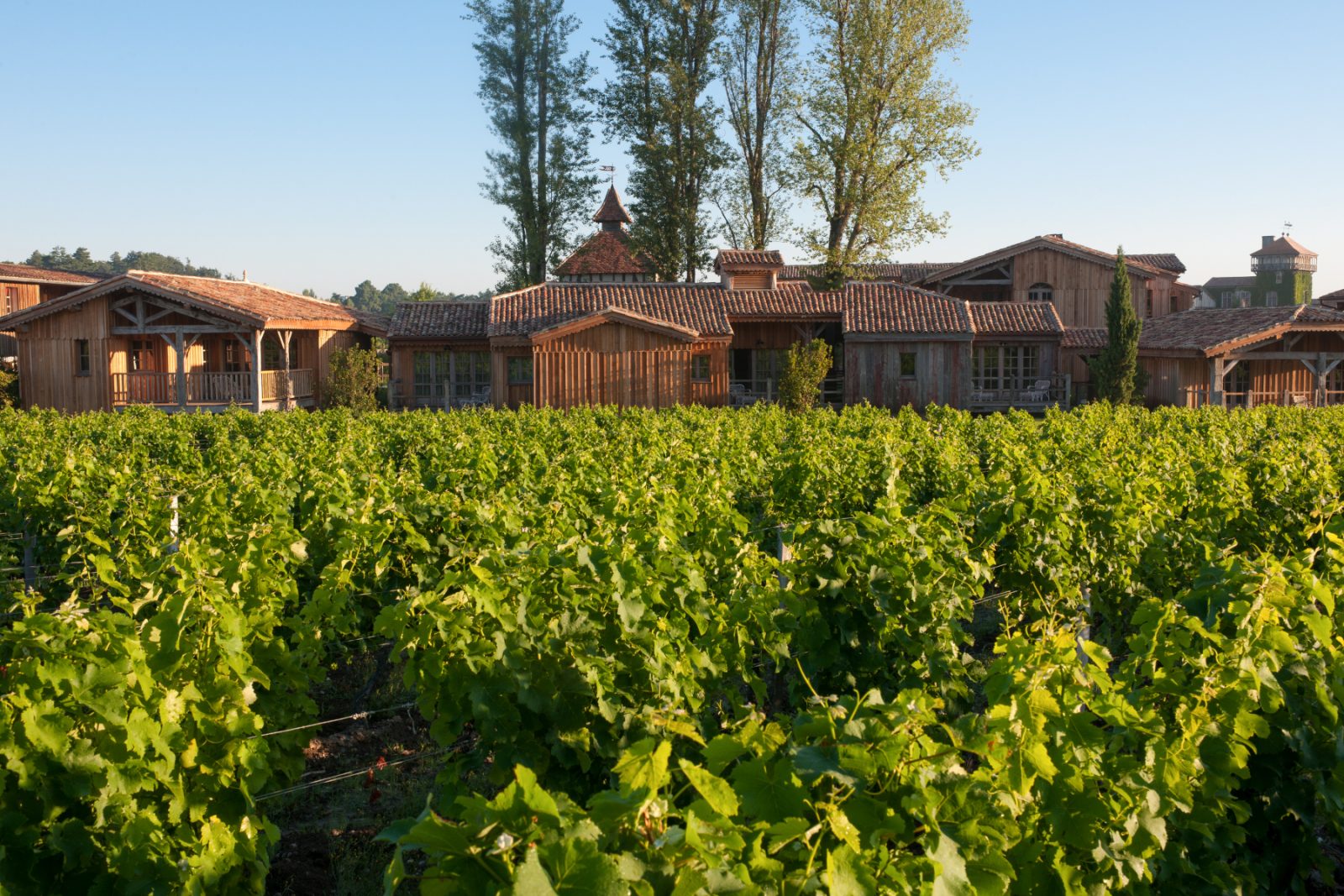 Wijngaarden bekijken terrassen_GdeLaubier_2014 (3-1)