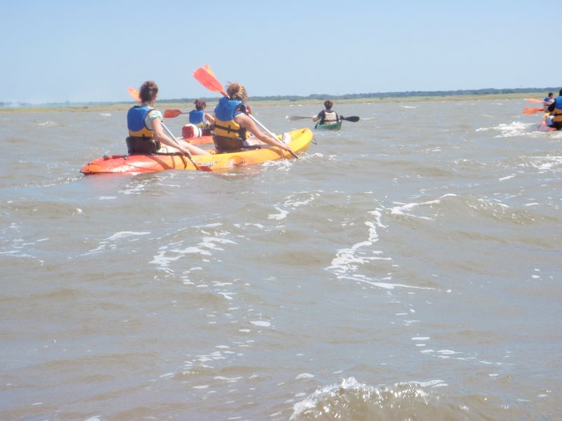 Paseo en kayak de mar naturalista