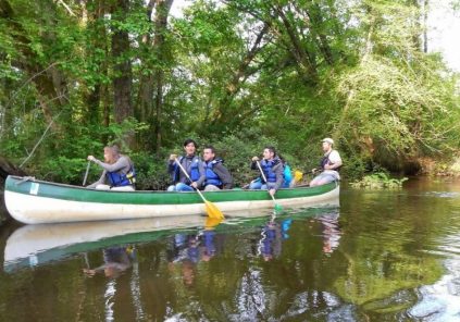 Guided trip in a collective canoe on the Leyre