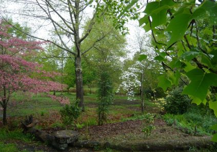 Rendez-vous in de tuinen – Botanisch Park van de Landes Girondines