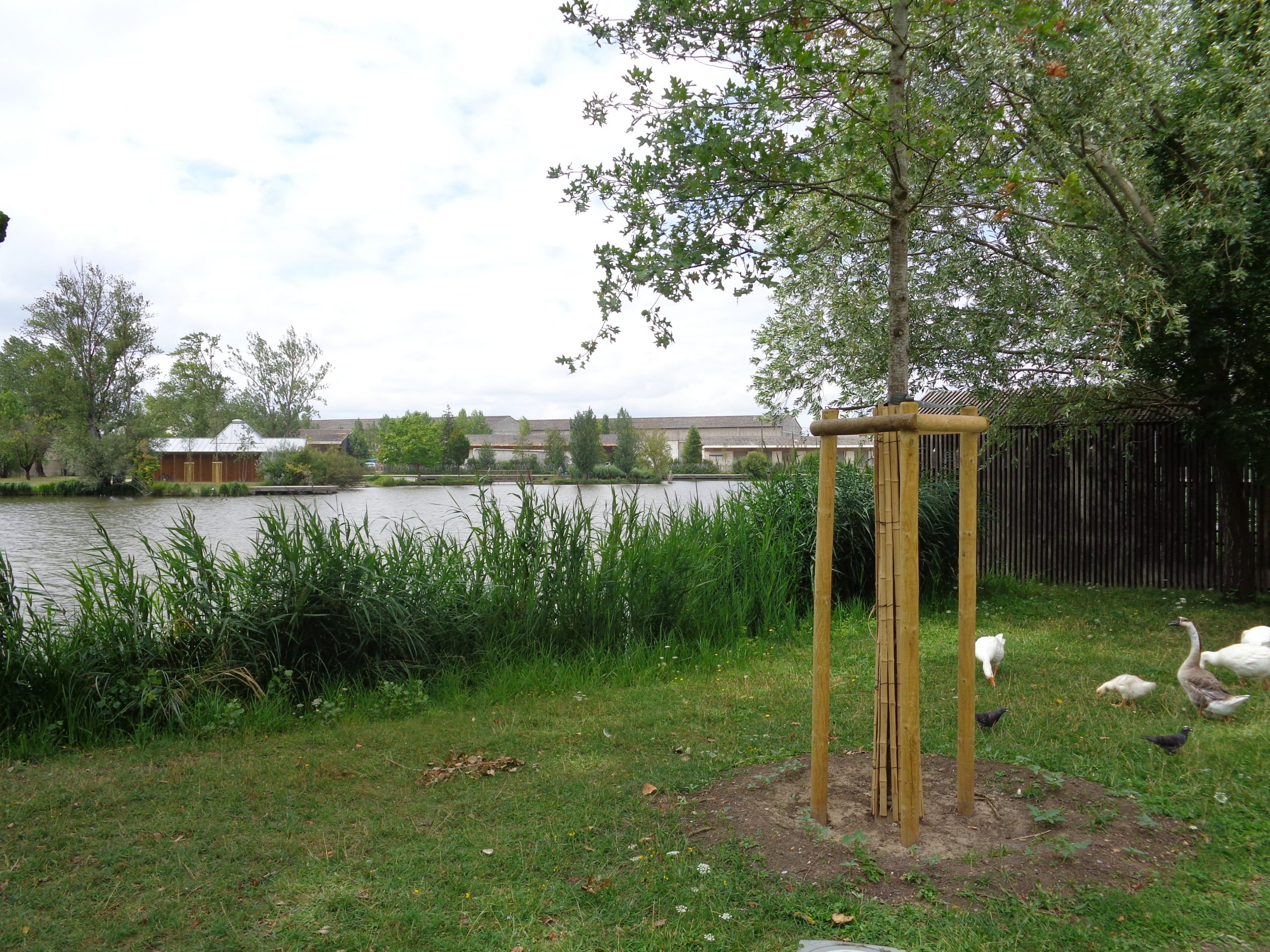 Balade à roulettes : Parc des étangs de Floirac