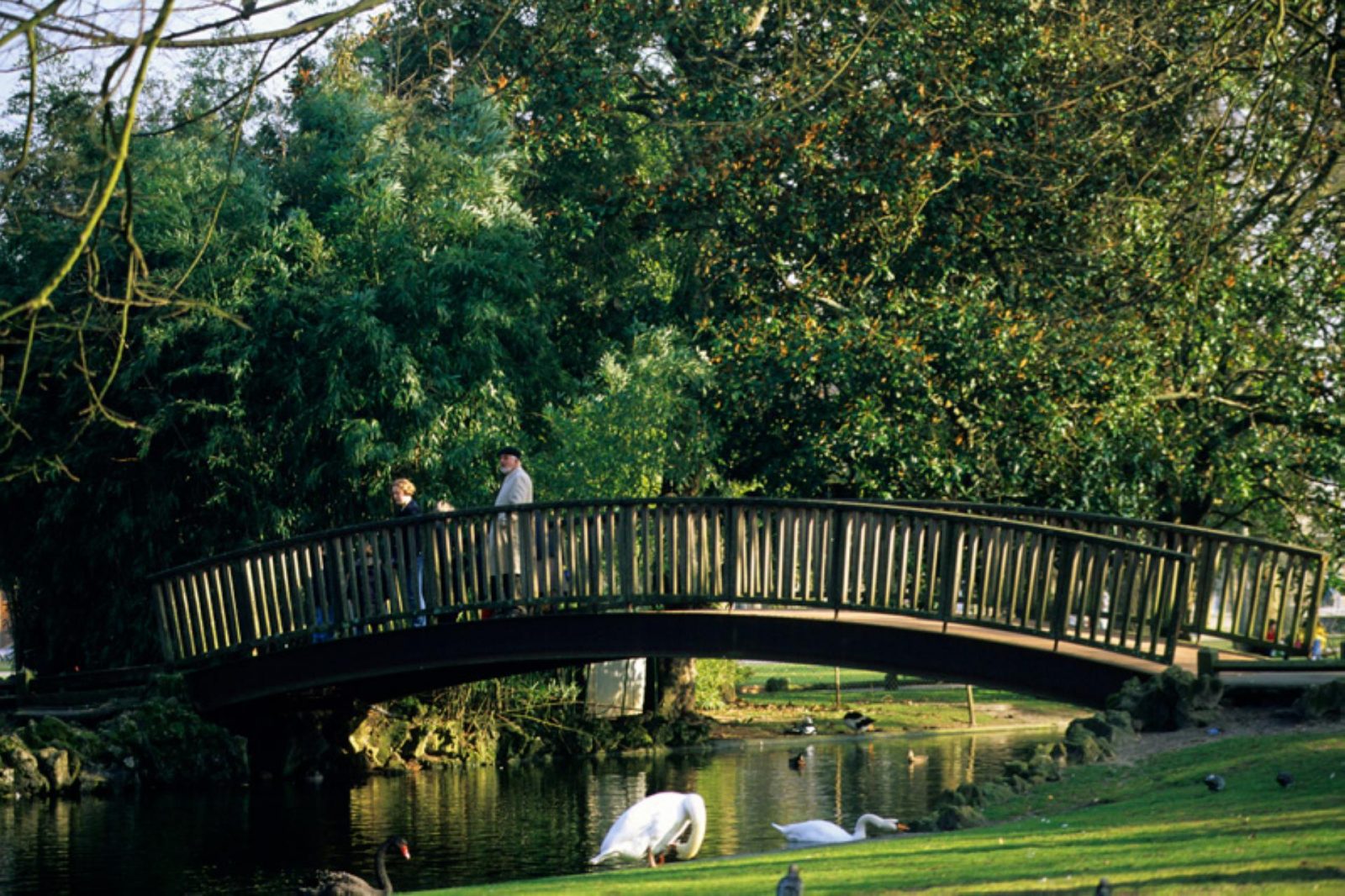 jardín público, el puente de madera