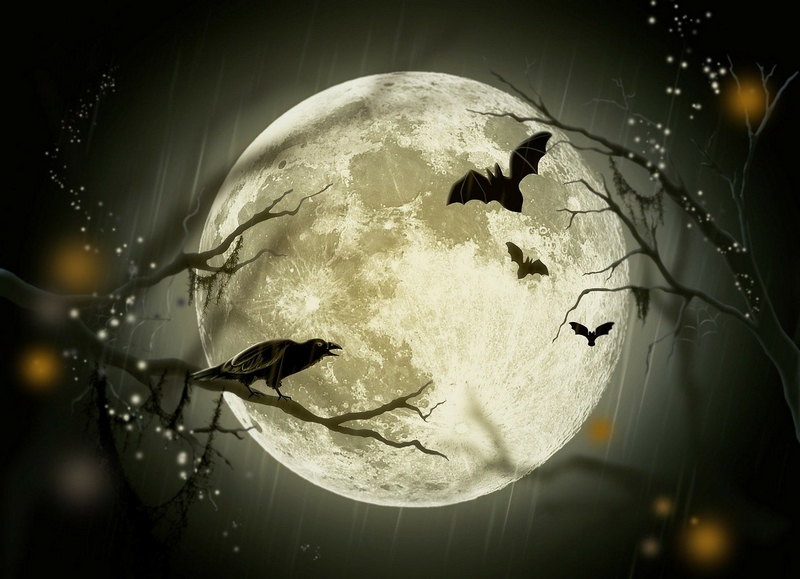 nuit sombre corbeau halloween 800 600