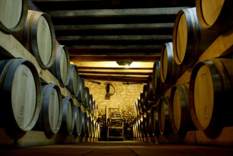 chateau-fredignac-vineyard-Blaye-cotes-de-bordeaux-st-martin-lacaussade-800×600