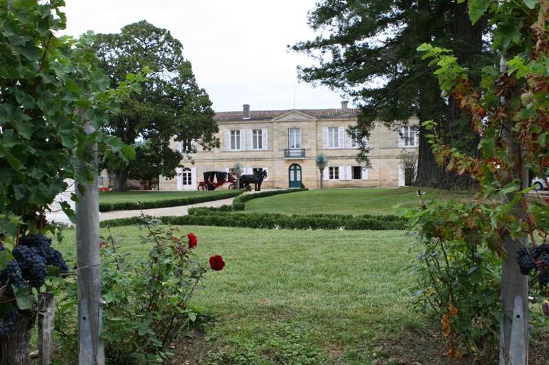 chateau-marquis-de-vauban-vignoble-Blaye-cotes-Bordeaux-800×600